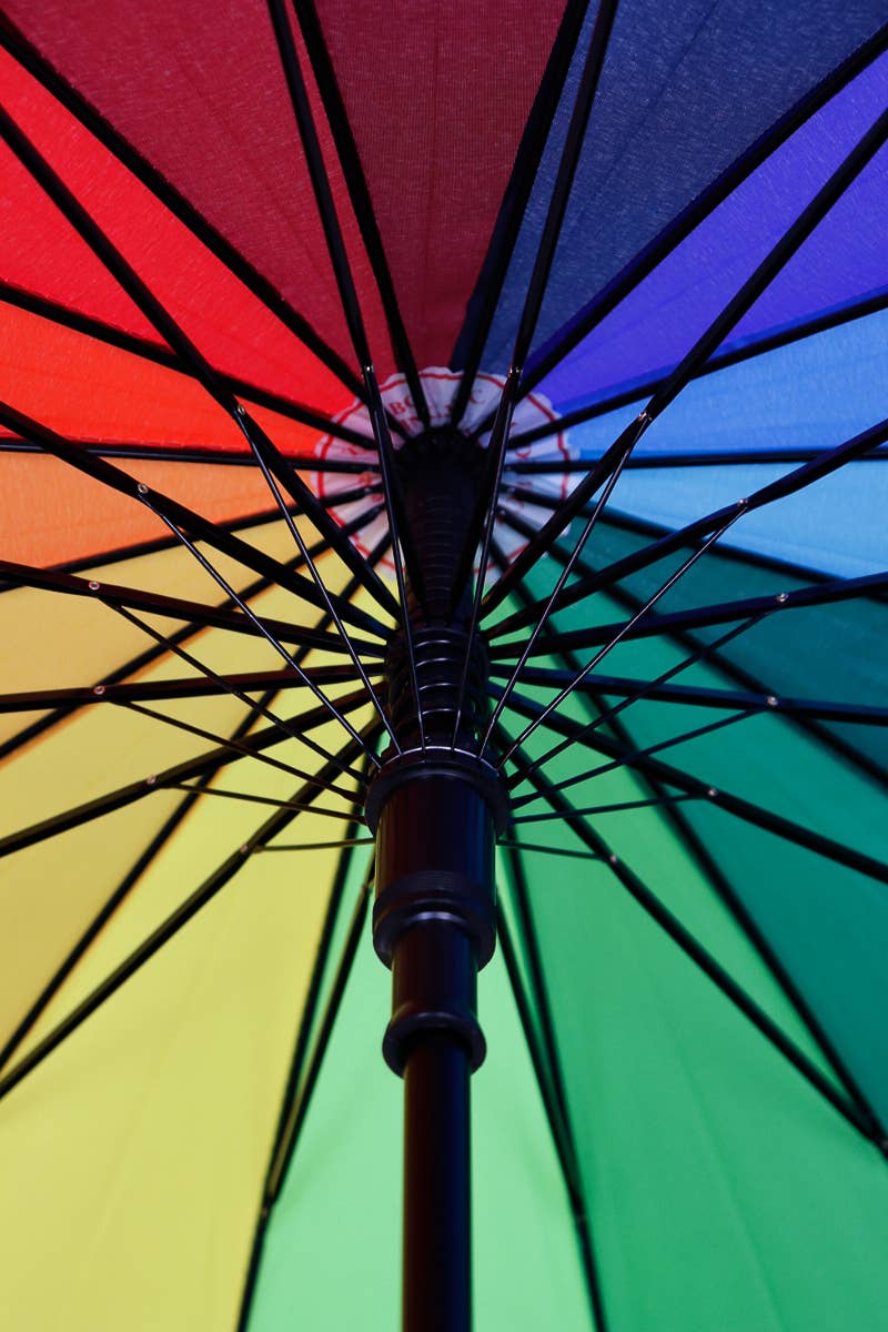 Rainbow 16 Panel Umbrella