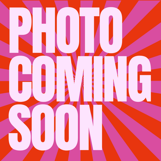 Iridescent fanny pack