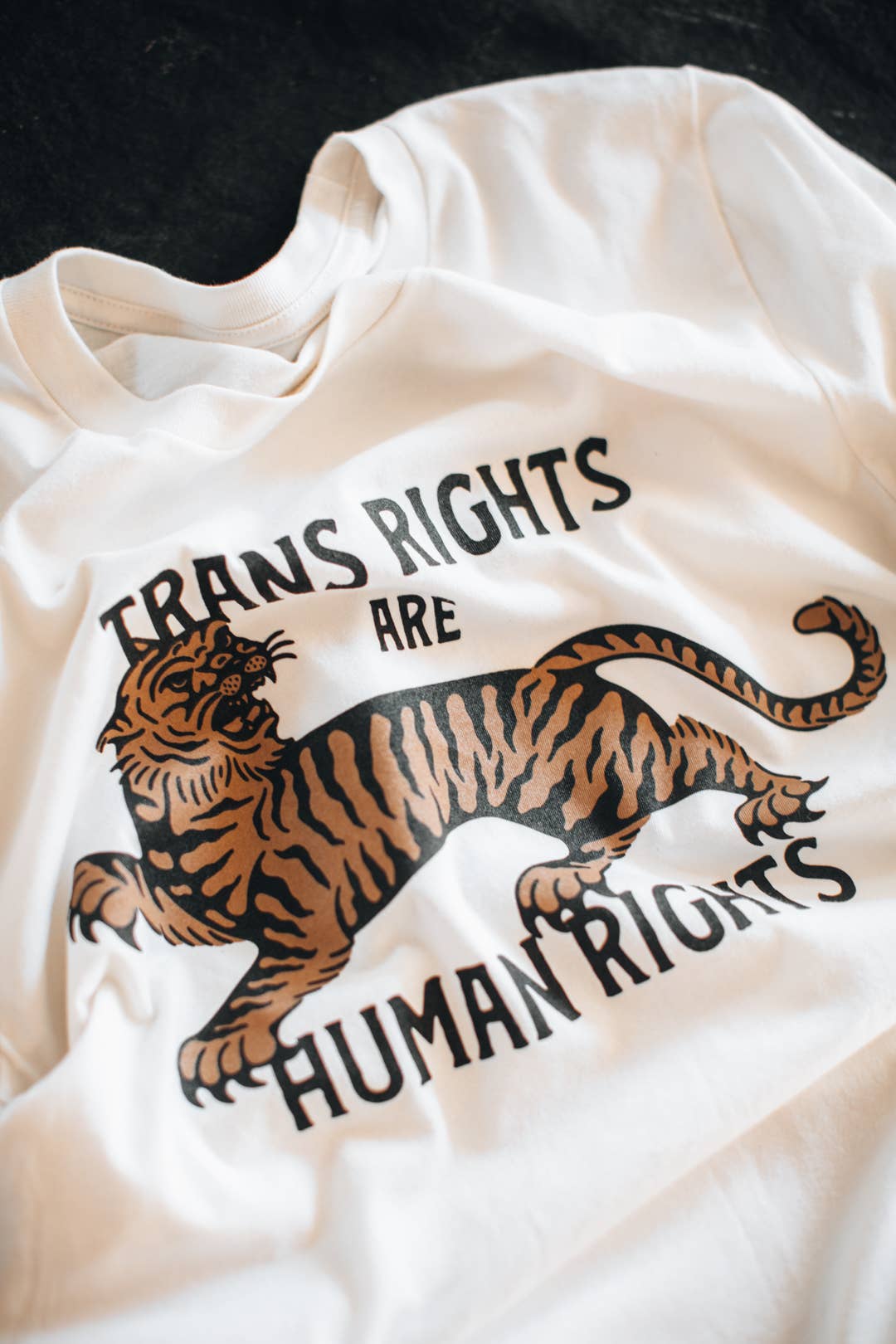 Trans Rights are Human Rights Tee - Vintage white