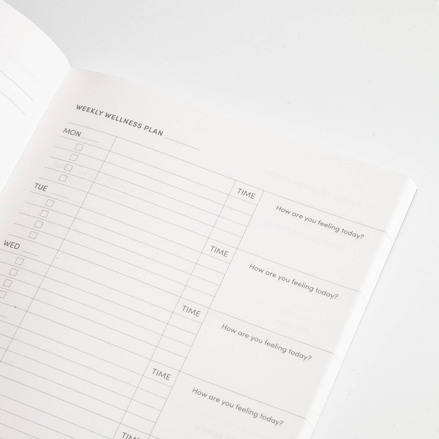 Self Planner - Las Ofrendas