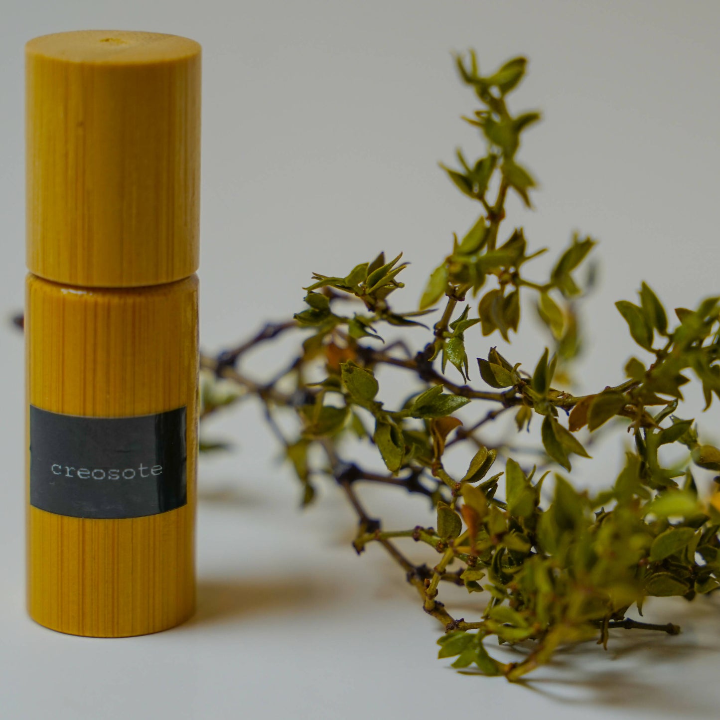 Desert Rain Fragrance Oil