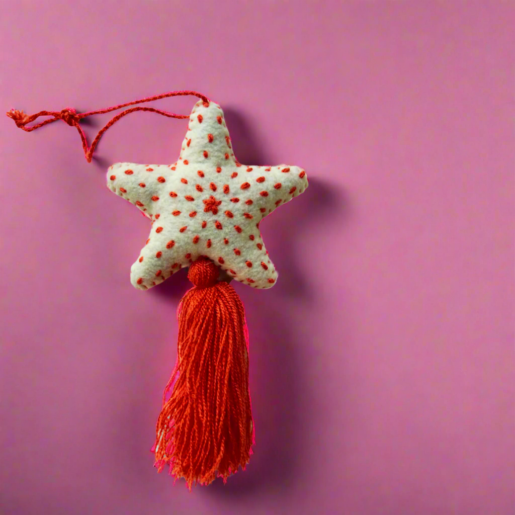 Large Star Ornament Tassel Pom Pom - Las Ofrendas