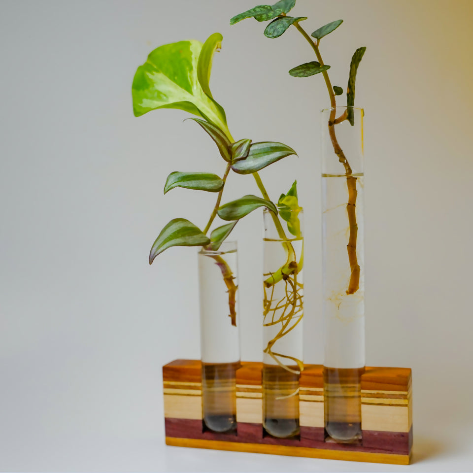Propagation Station