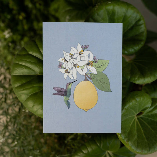 Hummingbird art print - Las Ofrendas