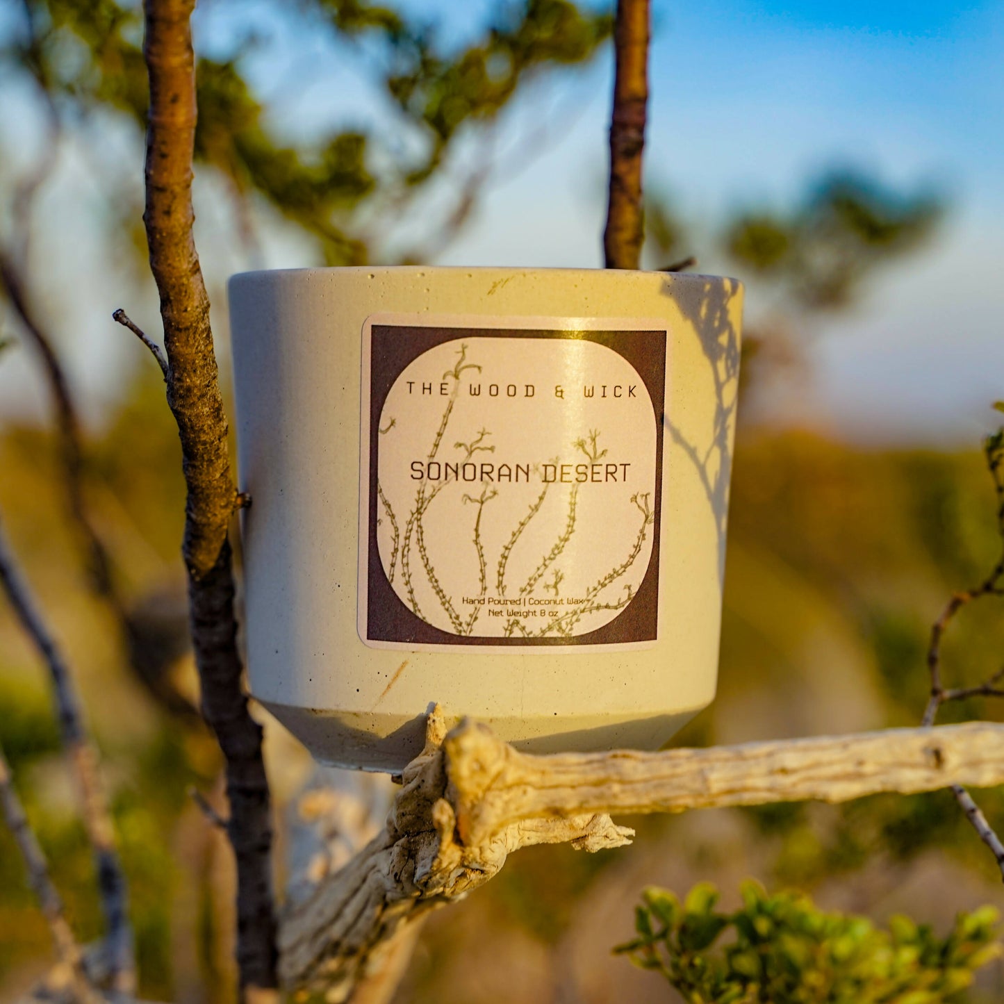 Sonoran Desert Candle - Las Ofrendas