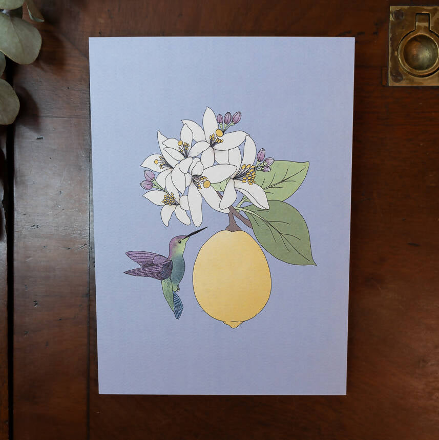 Hummingbird art print - Las Ofrendas
