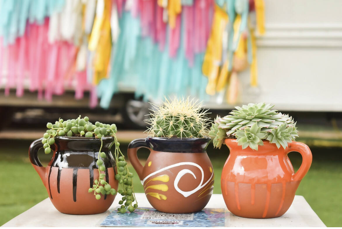 Succulent Jarrito Clay Mug
