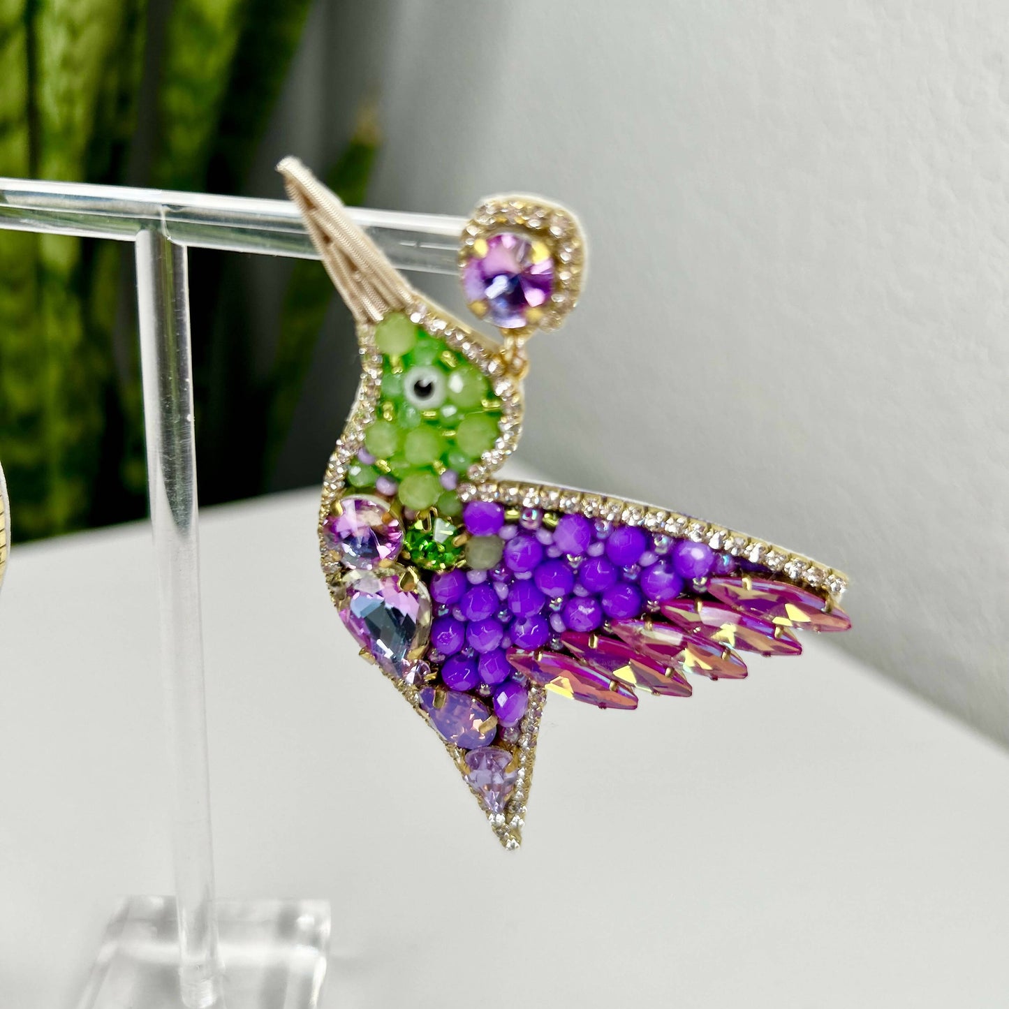 Venezuela Colibri