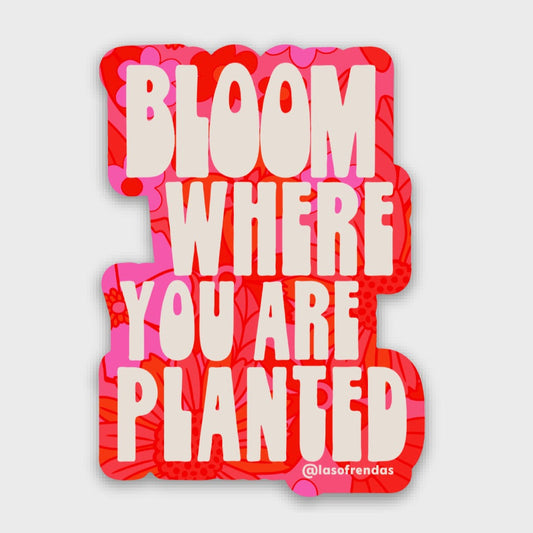 Bloom Where You Are Planted Sticker - Las Ofrendas 
