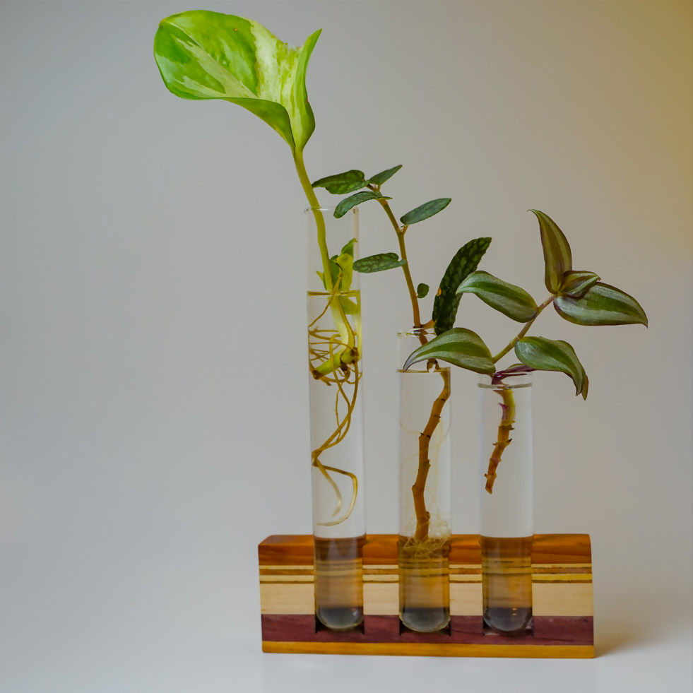 Propagation Station