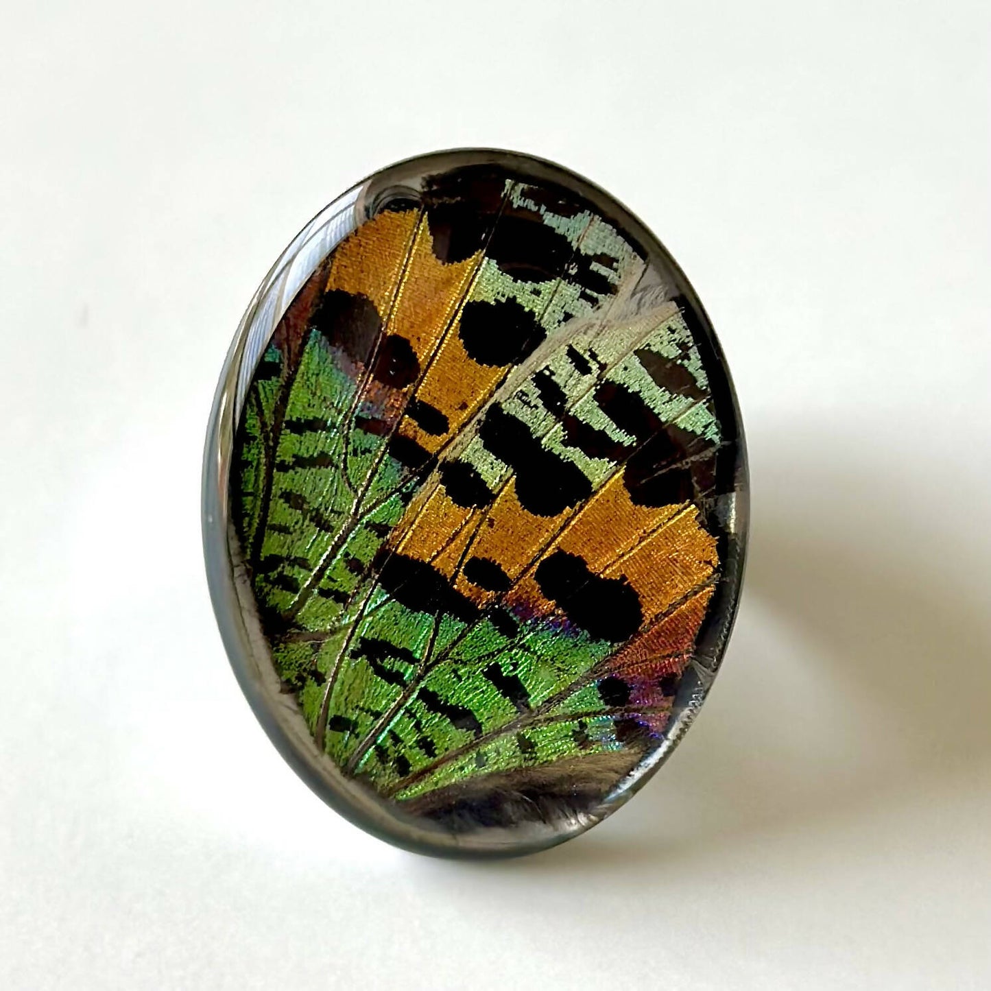 Real Butterfly Rings - Adjustable to fit all