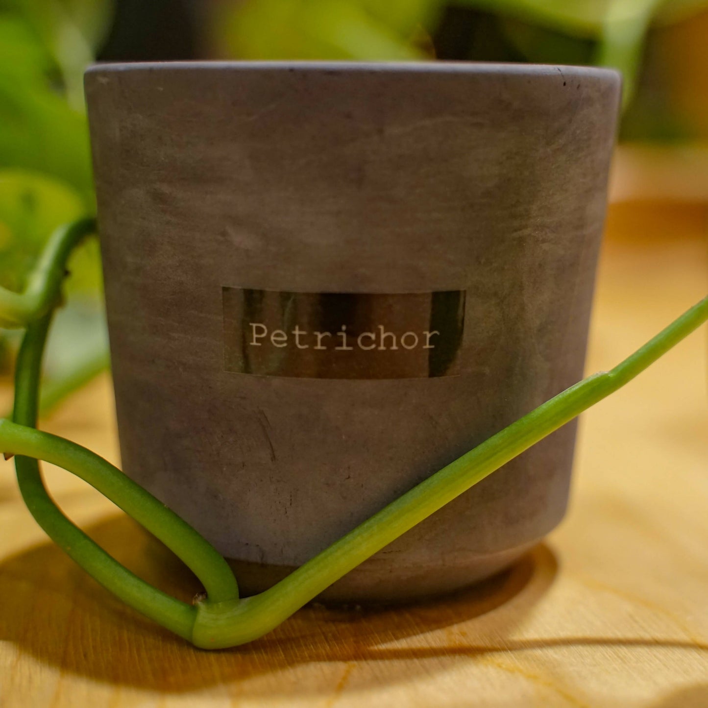 Petrichor
