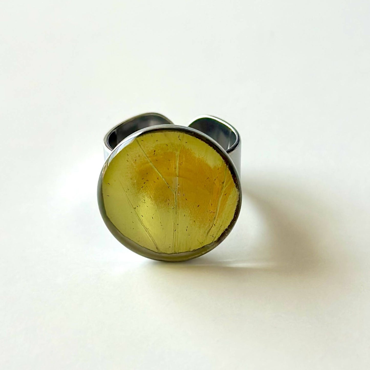 Real Butterfly Rings - Adjustable to fit all